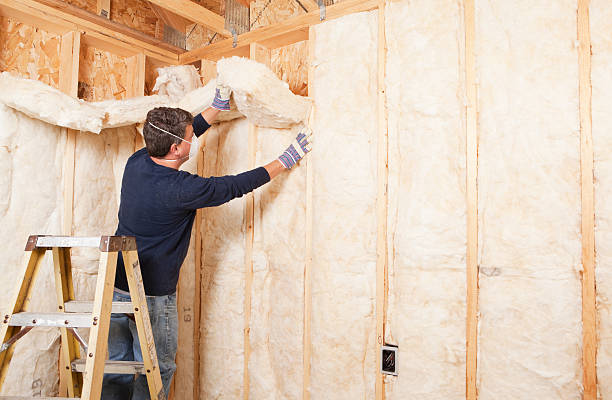 Best Soundproof Insulation  in De Smet, SD